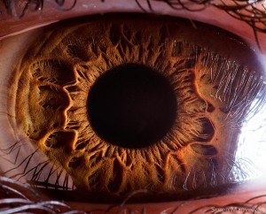 What resolution does the human eye see in?